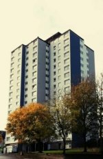 Broomhill