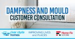 Dampness Consultation