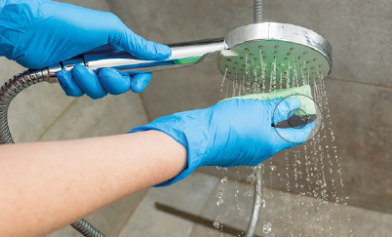 Legionella